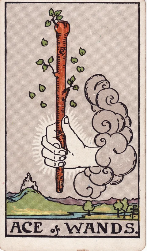 Ace of Wands